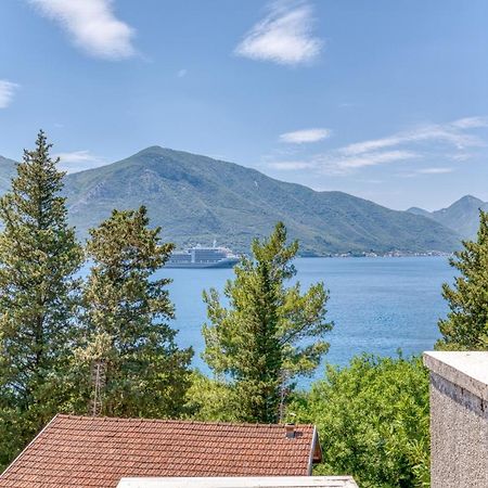 Apartment Elegant Kotor Exteriör bild